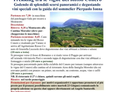 Trekking tra le vigne del Rosso Conero – 27/06/2026